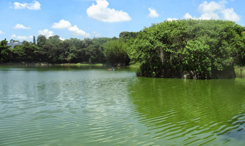 Cidade de Cotia, SP